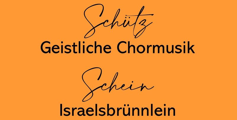 Schein und Schütz 2024